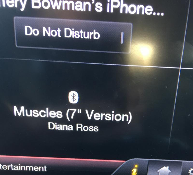 muscles in car