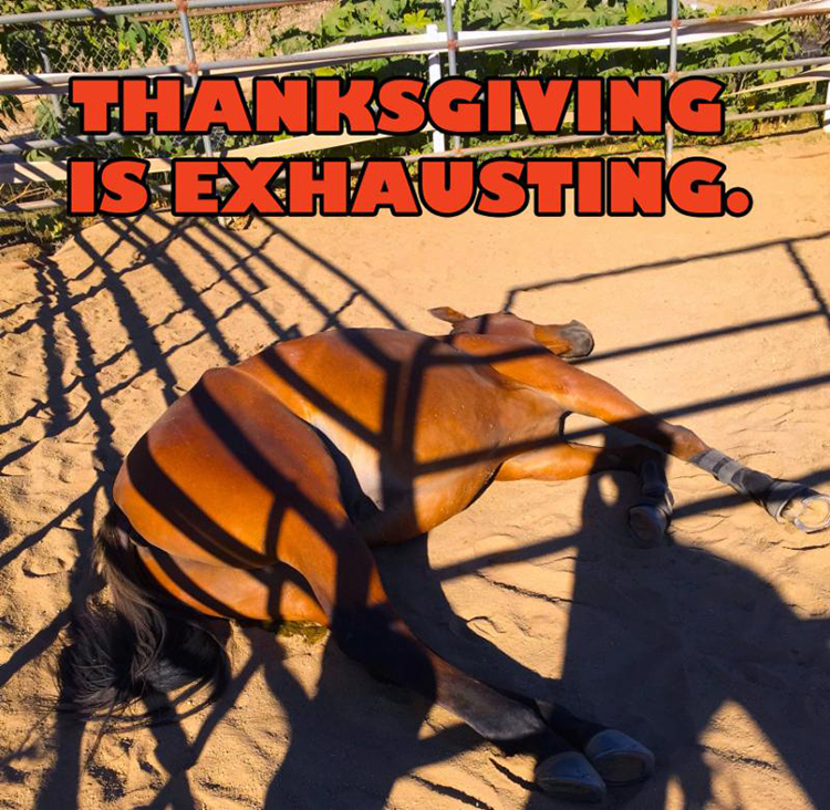 thanksgiving-horse-exhausting
